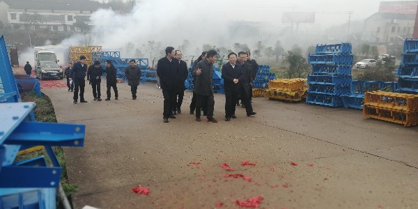 衡陽(yáng)縣縣委書記新年走訪慰問(wèn)雙雁公司